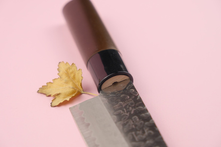 Nóż Sekiryu KATEI HAMMERED Gyuto 180 mm [SRH900]